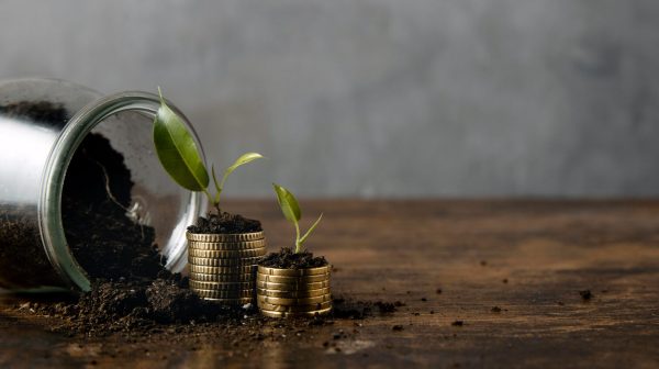 How-Does-Seed-Funding-Work